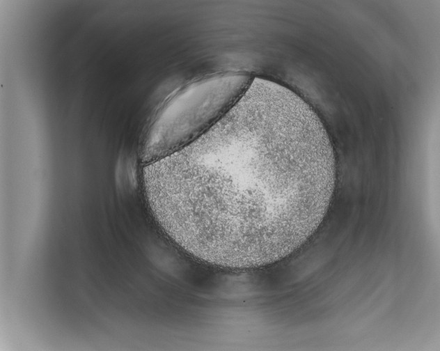 X0000111650068200908281057