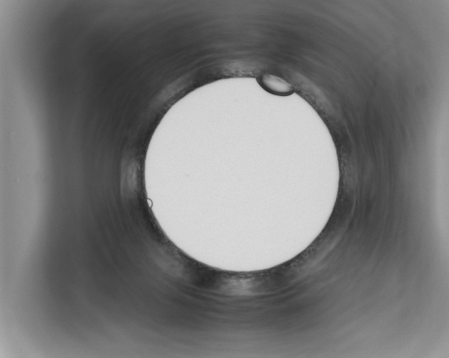 X0000111650071200908281057