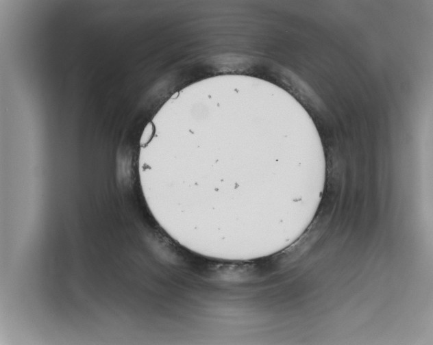 X0000111650074200908281057