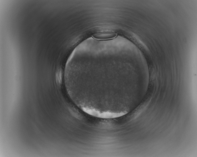 X0000111650076200908281057