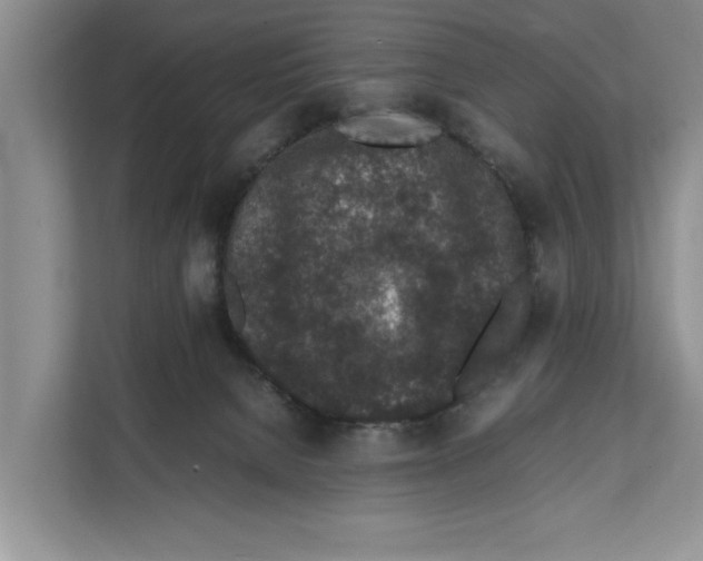 X0000111650080200908281058
