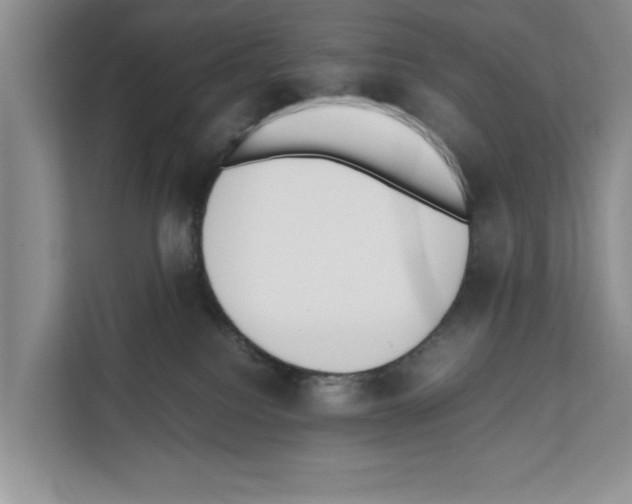 X0000111650088200908281058