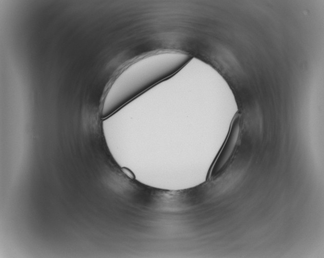 X0000111650092200908281058