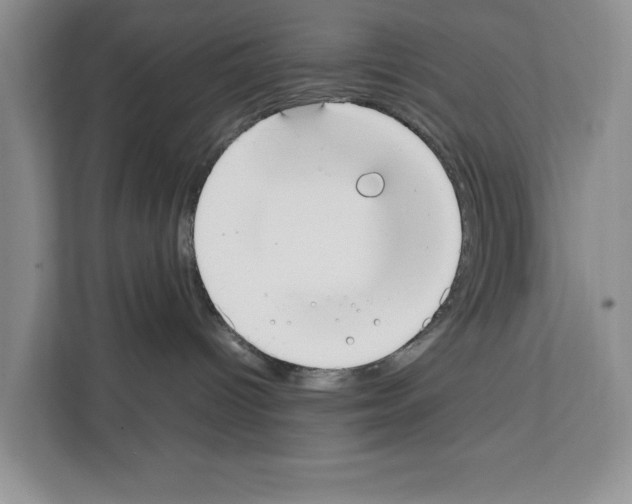 X0000111650096200908281058