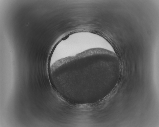 X0000111650100200908281057
