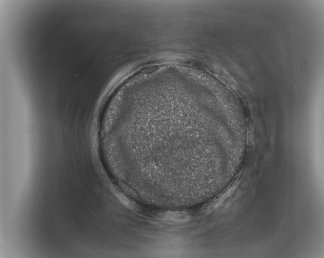 X0000111650101200908281057