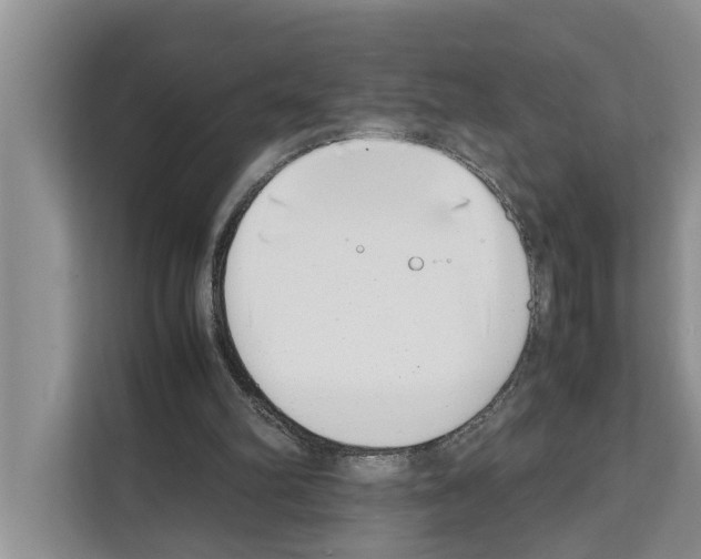 X0000111650102200908281057