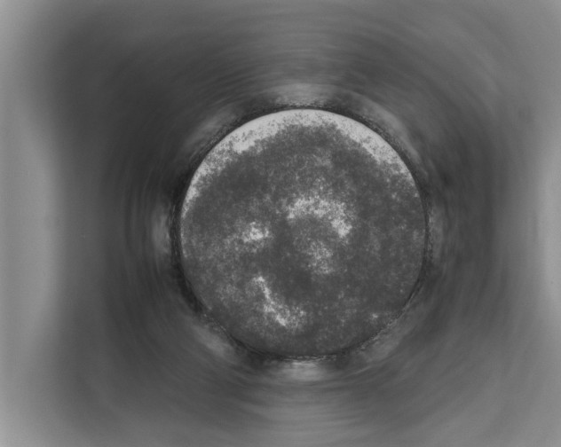 X0000111650114200908281057