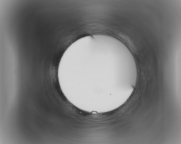 X0000111650121200908281057