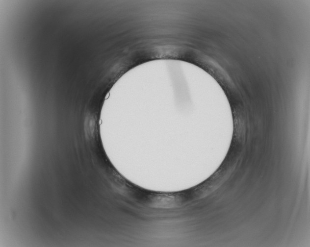 X0000111650123200908281057