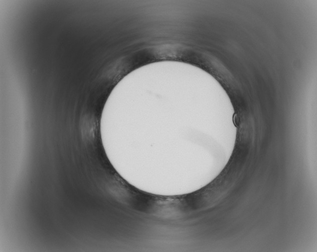 X0000111650125200908281057