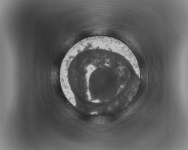 X0000111650127200908281057