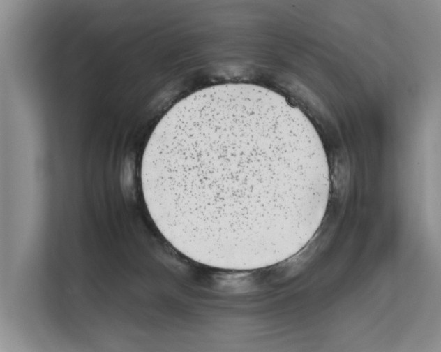 X0000111650132200908281057