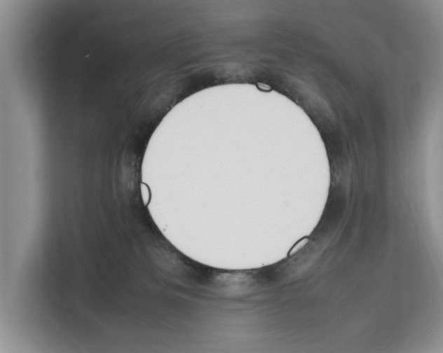 X0000111650133200908281057