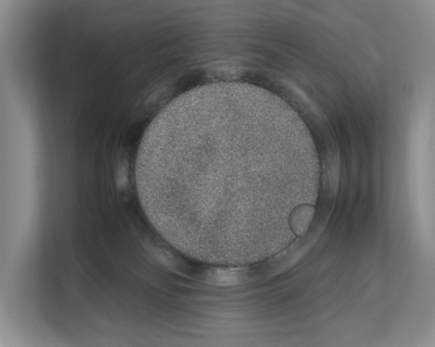 X0000111650134200908281057