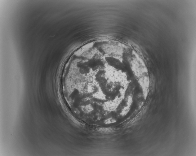 X0000111650145200908281056