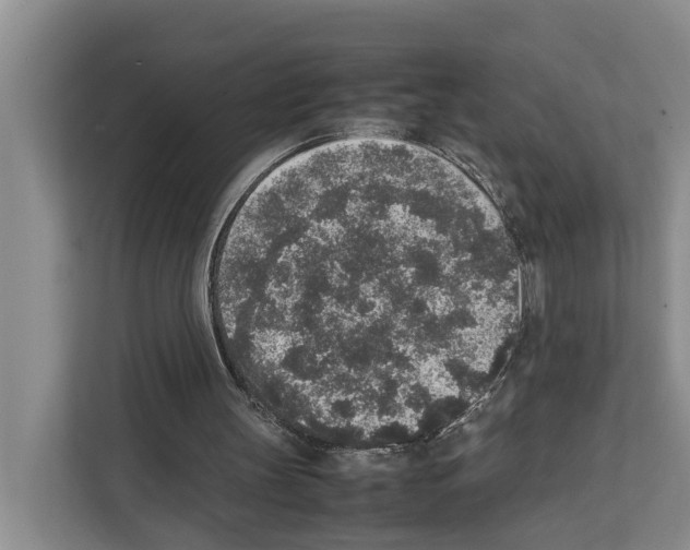 X0000111650147200908281056