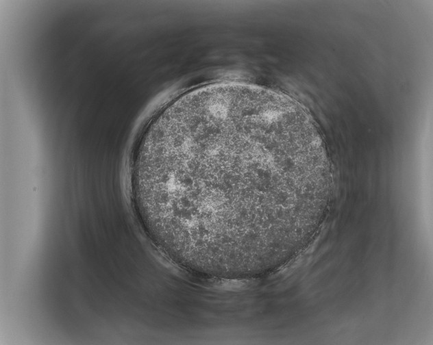 X0000111650149200908281056