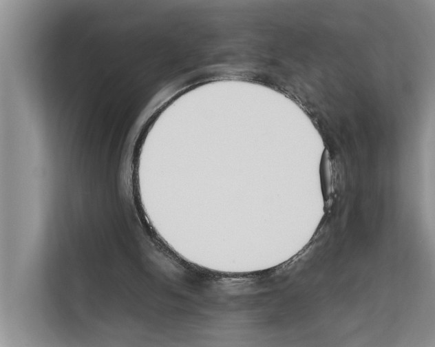 X0000111650150200908281056