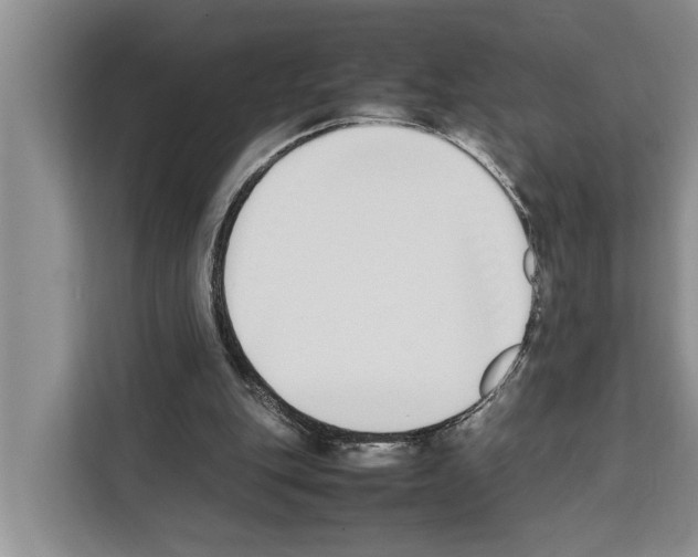 X0000111650151200908281056