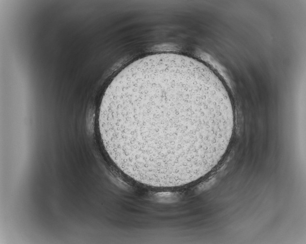 X0000111650153200908281056