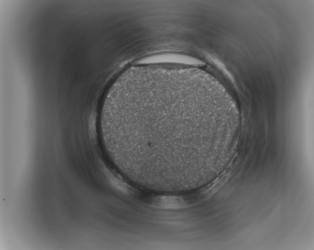 X0000111650154200908281056