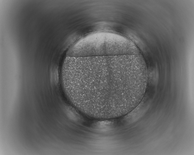 X0000111650158200908281056