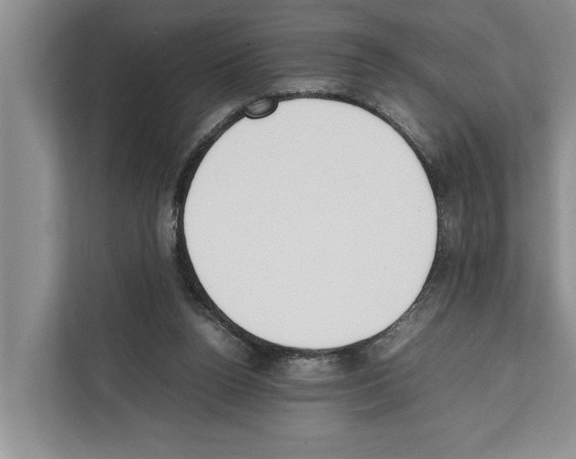 X0000111650160200908281056
