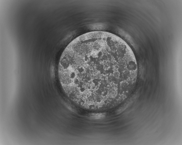 X0000111650161200908281056