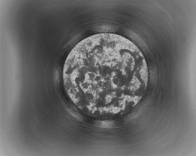 X0000111650165200908281056