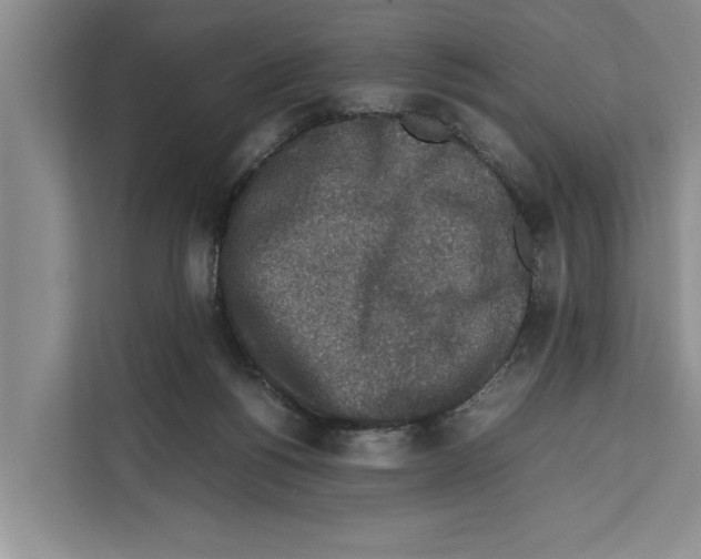 X0000111650168200908281056