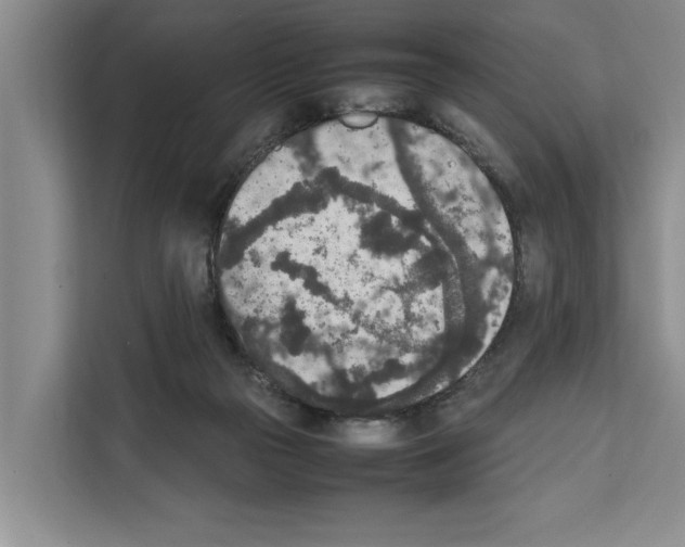 X0000111650169200908281056