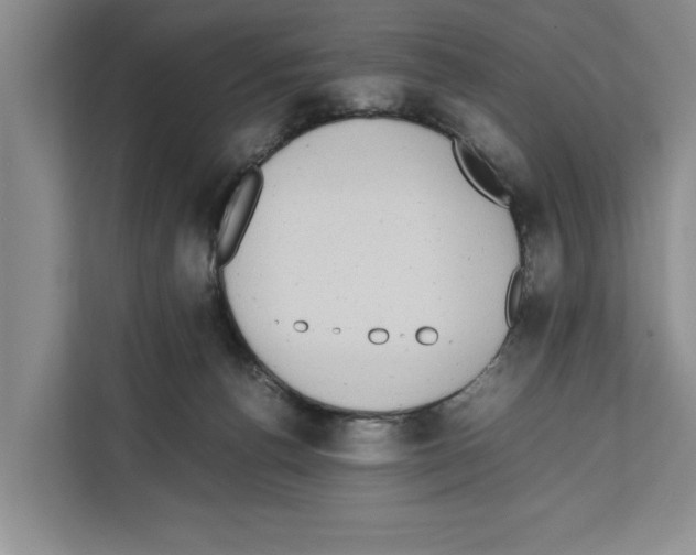 X0000111650176200908281056