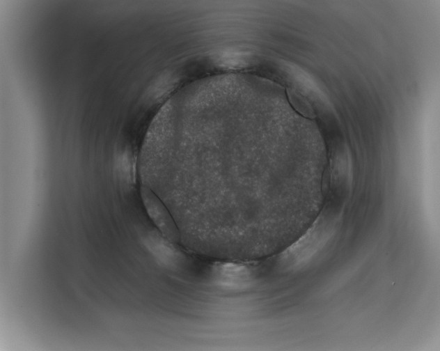 X0000111650180200908281056