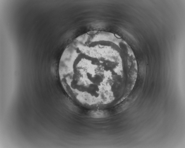 X0000111650181200908281056