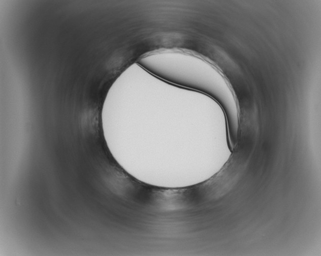 X0000111650184200908281056