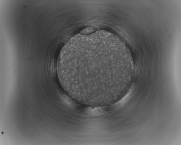 X0000111650186200908281056
