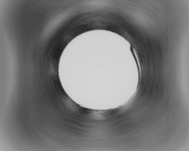 X0000111650190200908281056