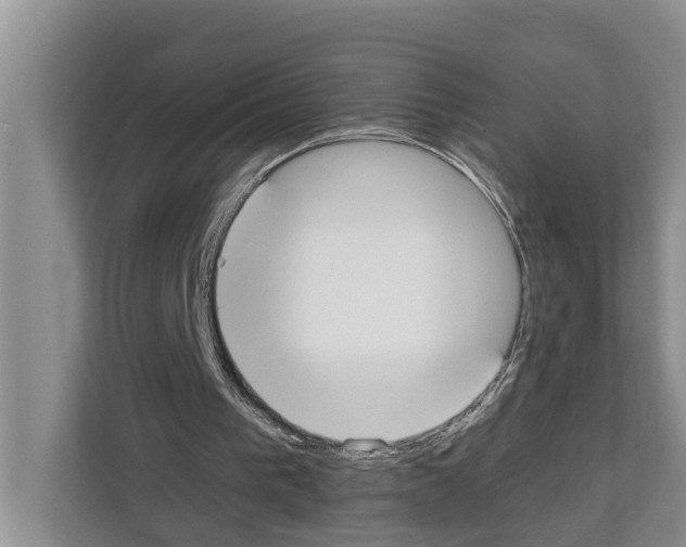 X0000111650193200908281056