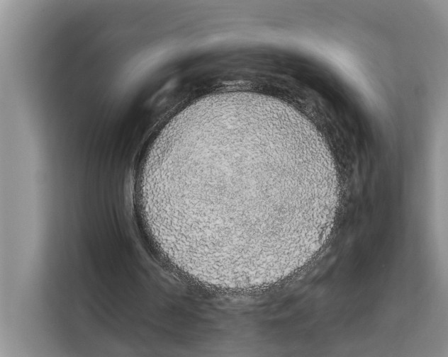 X0000111650194200908281056