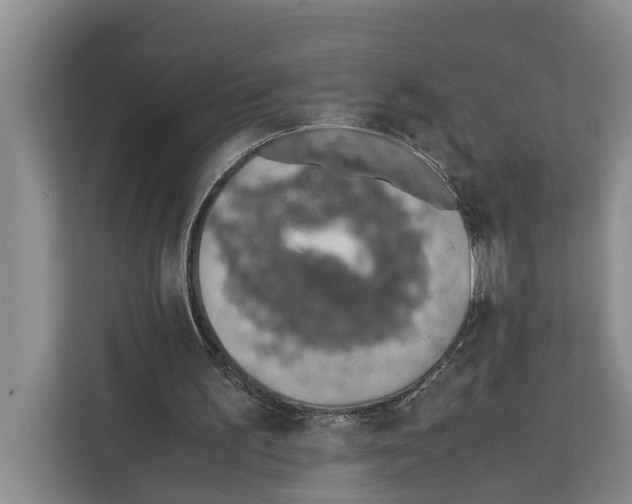 X0000111650195200908281056