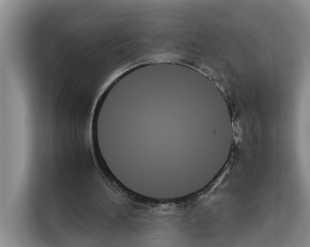 X0000111650196200908281056