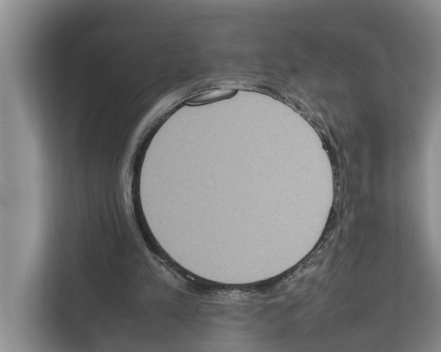 X0000111650197200908281056