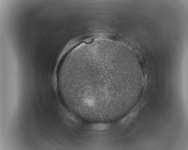 X0000111650198200908281056