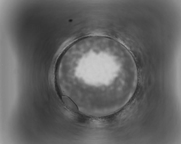 X0000111650199200908281056