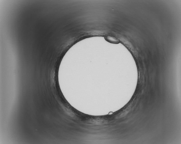 X0000111650201200908281056