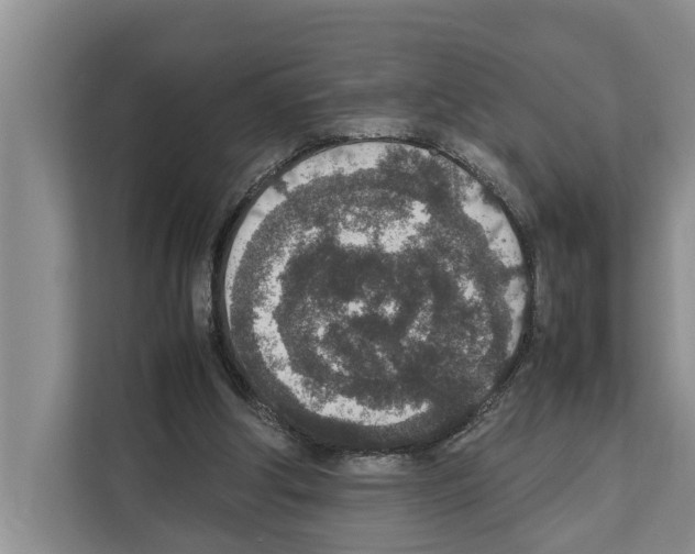 X0000111650202200908281056