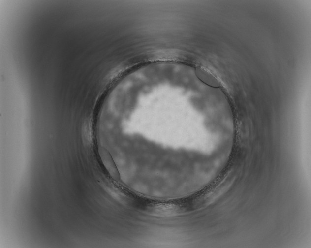 X0000111650203200908281056
