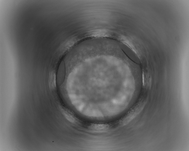 X0000111650205200908281056