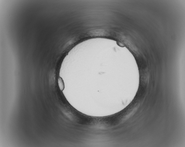 X0000111650207200908281056